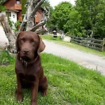 Stallhäusl