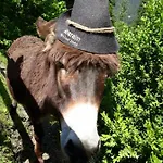 Stallhäusl * Schladming
