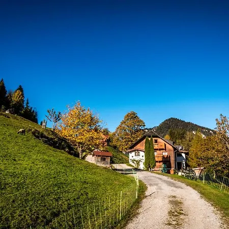 Stallhaeusl 슈라드밍