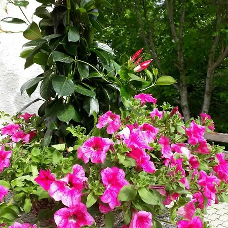 Appartement Stallhaeusl