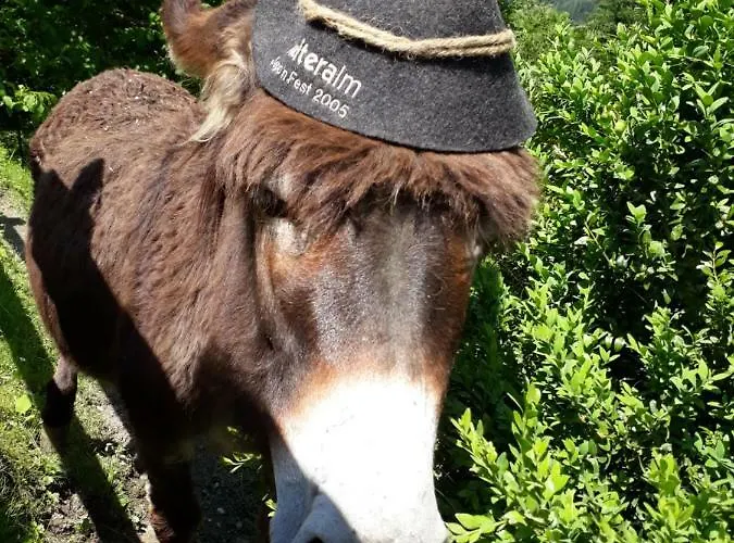 Stallhaeusl * Schladming